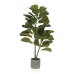 Dekorationspflanze Versa Metall polystyrol Kunststoff Zement 40 x 95 x 44 cm