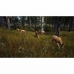 Joc video PlayStation 5 THQ Nordic Way of the Hunter: Hunting Season One
