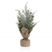 Dekorativní rostlina Versa Len Kov Plastické Cement 12 x 31 x 12 cm