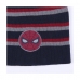 Child Hat Spider-Man Grey (One size)