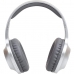 Headphones Panasonic RBHX220BDES Silver