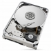 Kietasis diskas Seagate IronWolf  Pro ST14000NT001 3,5