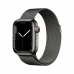 Chytré hodinky Apple Watch Series 7 OLED Oceľová sivá LTE
