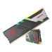 Spomin RAM Patriot Memory CL36 PC5-59200 32 GB