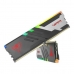 Spomin RAM Patriot Memory CL36 PC5-59200 32 GB