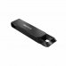 Pamięć USB SanDisk SDCZ460-256G-G46