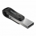 USB-minne   SanDisk SDIX60N-128G-GN6NE         Svart Silvrig 128 GB  
