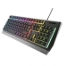Gaming-tastatur Genesis NKG-1529 RGB Sort