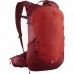 Batoh/ruksak na pěší turistiku Salomon Trailblazer 20 Tmavě červená