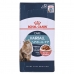 Hrana za mačke Royal Canin Hairball Care Gravy Meso 12 x 85 g