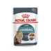 Krmivo pre mačky Royal Canin Hairball Care Gravy Mäso 12 x 85 g