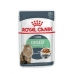Comida para gato Royal Canin Digest Sensitive Care Carne 12 x 85 g