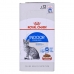 Comida para gato Royal Canin Indoor Sterilized Carne 12 x 85 g