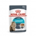 Comida para gato Royal Canin Urinary Care Vegetal 85 g