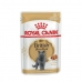 Aliments pour chat Royal Canin British Shorthair Adult 85 g