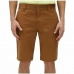 Спортивные шорты Dickies Slim Fit Rec Коричневый Светло-коричневый