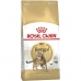 Krmivo pre mačky Royal Canin Bengal Adult Dospelý Rastlinný Vtáky 2 Kg