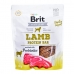 Suņu uzkodas Brit Lamb Protein bar Jēra gaļa 200 g