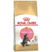 Cat food Royal Canin Maine Coon Kitten Rice Birds 2 Kg