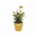 Plant pot Elho 9262302511800 Ocre Plastic Circular Ø 24,7 x 23,2 cm