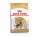 Фураж Royal Canin German Shepherd Adult 11kg Для взрослых Растительный 11 Kg