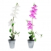 Декоративно Растение DKD Home Decor 8424001819430 21 x 21 x 82 cm Люляк Бял Орхидея (2 броя)