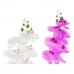 Okrasná rastlina DKD Home Decor 8424001819430 21 x 21 x 82 cm Fialová Biela Orchidea (2 kusov)