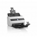 Skeneriai Epson B11B251401 85 ppm