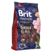Φαγητό για ζώα Brit Premium Ενηλίκων Κοτόπουλο 3 Kg
