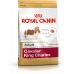 Rehu Royal Canin Cavalier King Charles Aikuinen 1,5 Kg