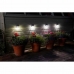 Wall Light Smart Garden Plastic 3 Lm (4 Units)