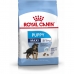 Φαγητό για ζώα Royal Canin Maxi Puppy Κουτάβι / Junior Πουλιά 4 κιλά