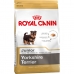 Io penso Royal Canin Yorkshire Terrier Junior Cucciolo/Junior Pollo Carne Riso Uccelli 1,5 Kg