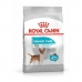 Krmivo Royal Canin Mini Urinary Care Dospelý Kukurica Vtáky 3 Kg