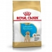Hundefutter Royal Canin Welpe/Junior 3 Kg