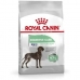 Rehu Royal Canin Aikuinen Linnut 3 Kg