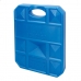 Acumulator de răcire Aktive Albastru 2 Kg 22 x 27,5 x 4 cm (6 Unități)