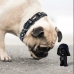 Koiran kaulapanta Star Wars Musta S/M
