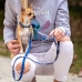 Koiran kaulapanta Stitch Tummansininen XS/S