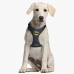 Suņu drošības siksna Batman XXS/XS Zils