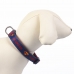 Collar para Perro DC Pets Azul XS/S