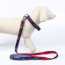 Dog collar DC Pets Blue XS/S