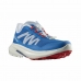 Chaussures de Running pour Adultes Salomon Hypulse Bleu Homme