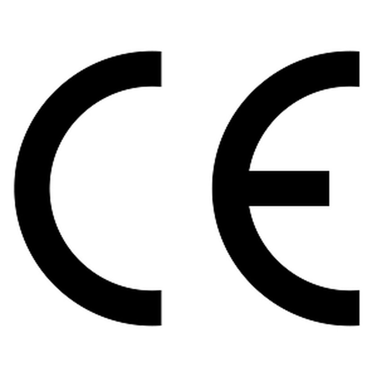 Încărcător de Mașină Wallbox Pulsar Plus