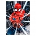 Puzzel Spiderman Educa 18486 500 Onderdelen