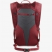 Спортивная сумка Salomon LC2059500 Красный Насыщенный рыжий Один размер 10 L