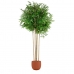 Δέντρο Home ESPRIT πολυεστέρας PVC Bamboo Τσιμέντο 80 x 80 x 180 cm