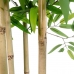 Drevo Home ESPRIT Poliester Bambus 80 x 80 x 180 cm
