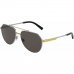 Solbriller for Menn Dolce & Gabbana DG 2288
