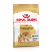 Fodder Royal Canin Pomeranian Adult Rice Vegetable 3 Kg